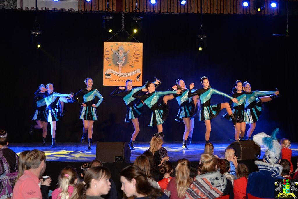 ../Images/Dansmarieke festival 2018 136.jpg